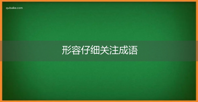 形容仔细关注成语