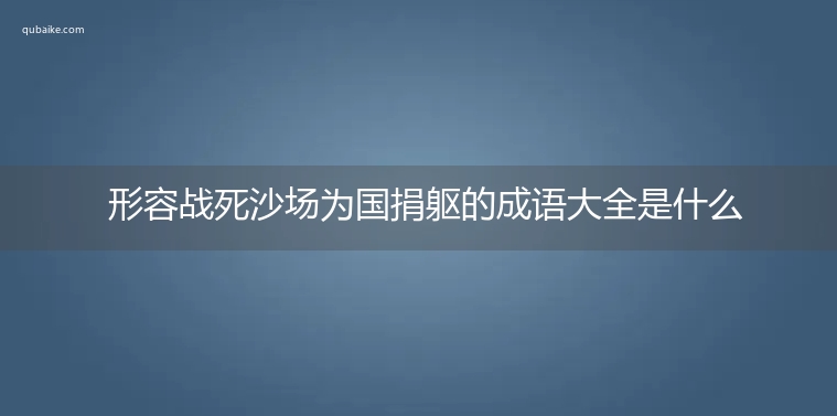 形容战死沙场为国捐躯的成语大全是什么