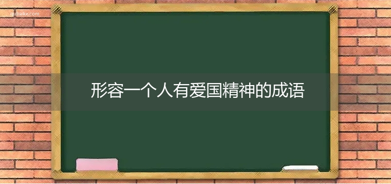 形容一个人有爱国精神的成语