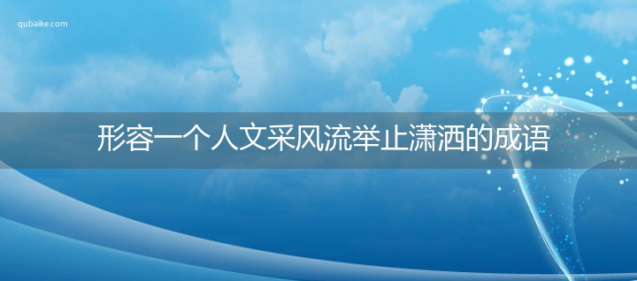 形容一个人文采风流举止潇洒的成语