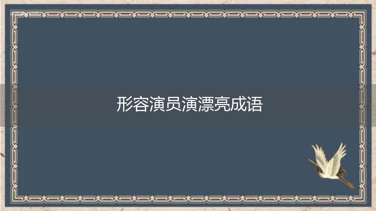 形容演员演漂亮成语