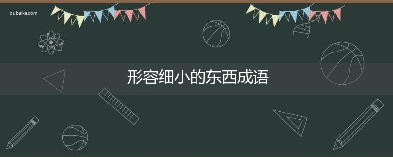 形容细小的东西成语