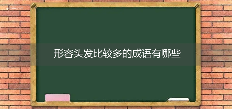 形容头发比较多的成语有哪些