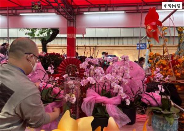 广州花市终于回归年宵花涨价但还是卖爆了