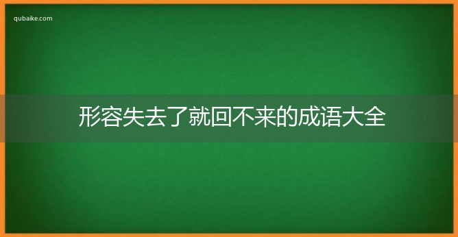 形容失去了就回不来的成语大全