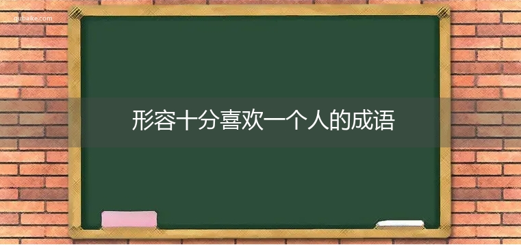 形容十分喜欢一个人的成语