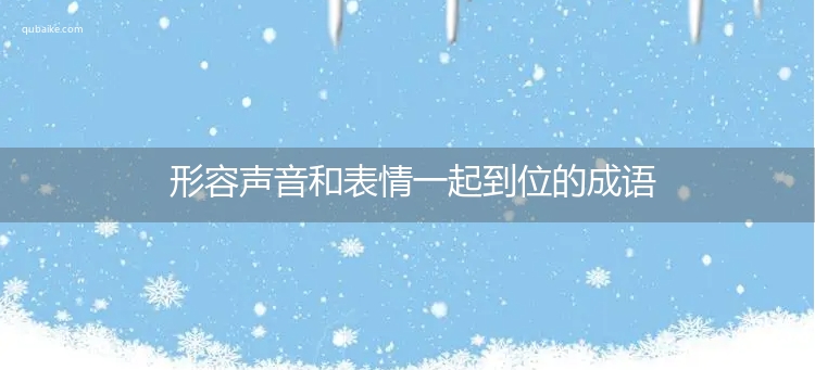 形容声音和表情一起到位的成语