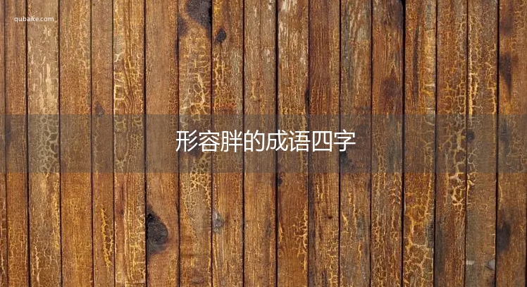 形容胖的成语四字