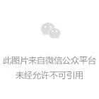 2023上海共青森林公园水仙展延时至2月5日闭幕
