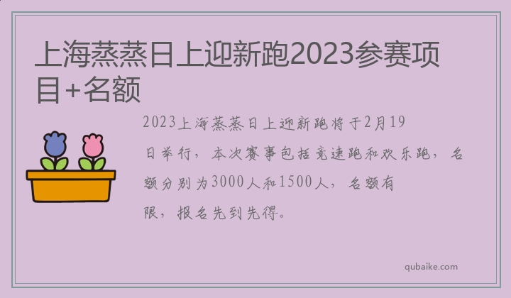 上海蒸蒸日上迎新跑2023参赛项目+名额