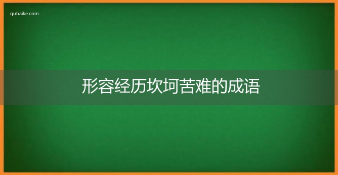 形容经历坎坷苦难的成语