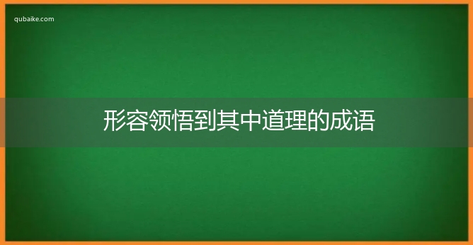 形容领悟到其中道理的成语