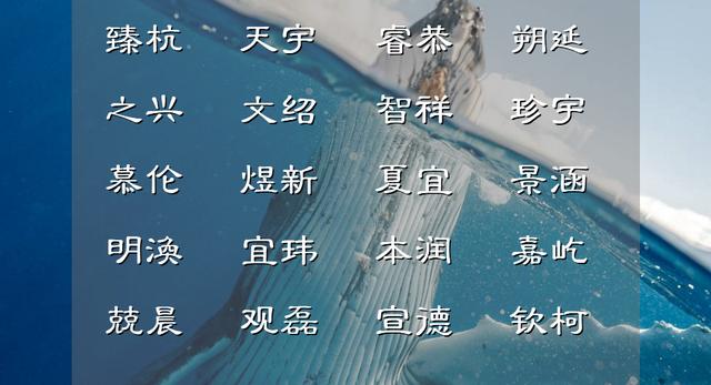 有丰富内涵的男宝宝名字（令人难忘的男宝宝名字精选）