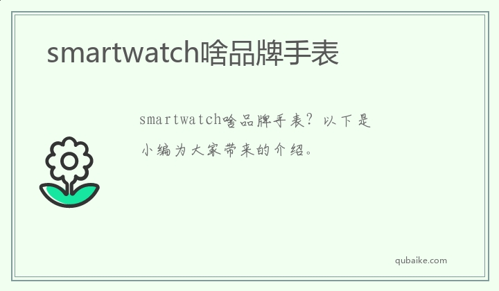 smartwatch啥品牌手表