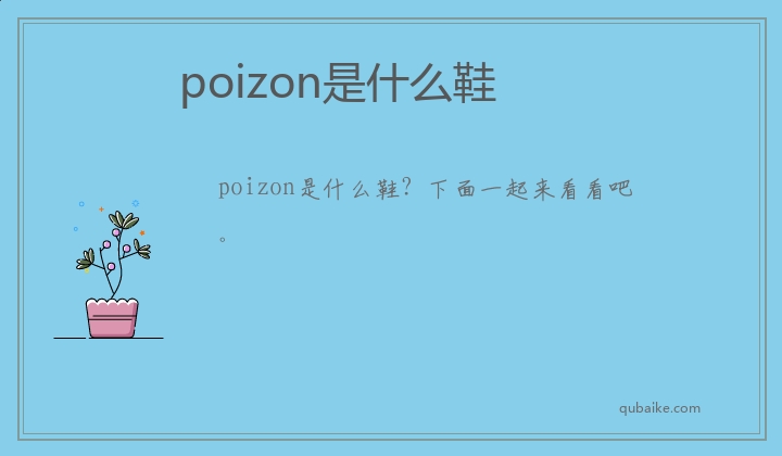 poizon是什么鞋