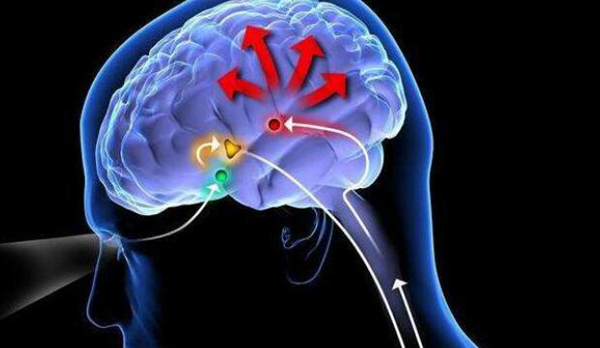 达芬奇睡眠法科学吗 他的睡眠法有人成功过吗