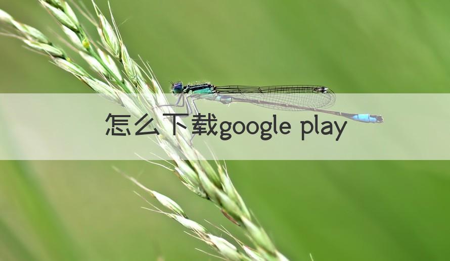 谷歌play怎么下载 怎么下载google play（记得收藏）