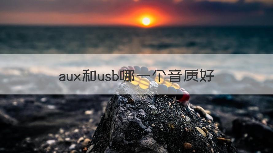 aux和usb哪个音质好 aux和usb哪一个音质好（介绍）