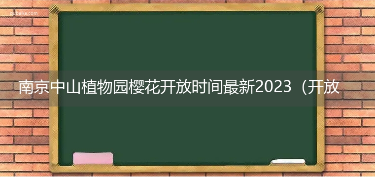 南京中山植物园樱花开放时间最新2023