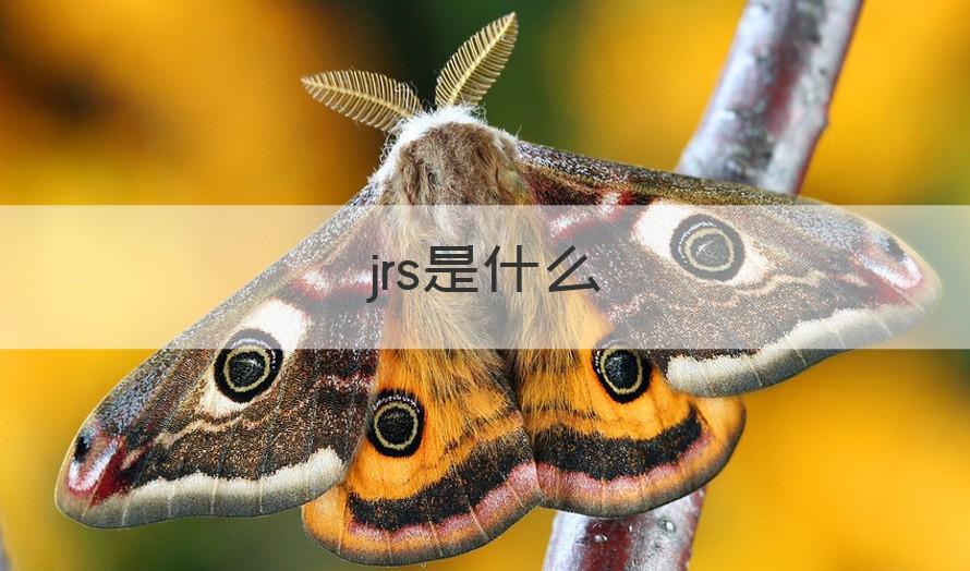 jrs jrs是什么（知识科普）