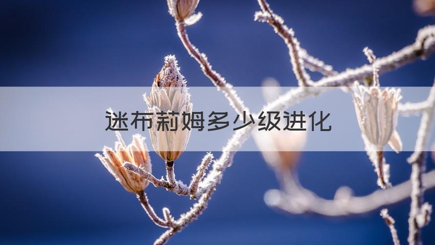 迷布莉姆进化 迷布莉姆多少级进化（可靠解答）