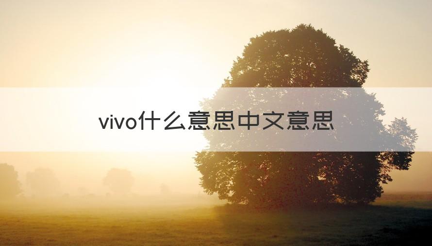 vivo什么意思 vivo什么意思中文意思（解答）