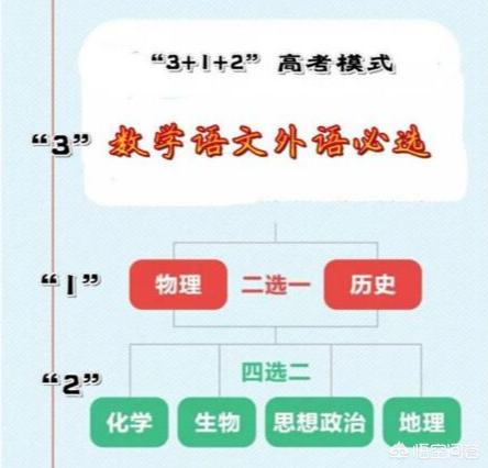 高一3+1+2物化生和物化地赋分制情况下，选哪个更容易得高分？