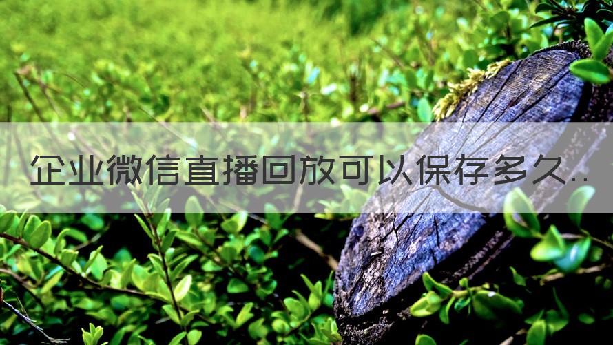 企业微信直播回放能保存多久 企业微信直播回放可以保存多久（解答）