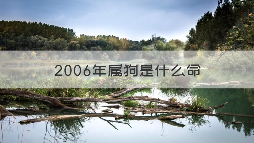 2006年是什么年 2006年属狗是什么命（干货）