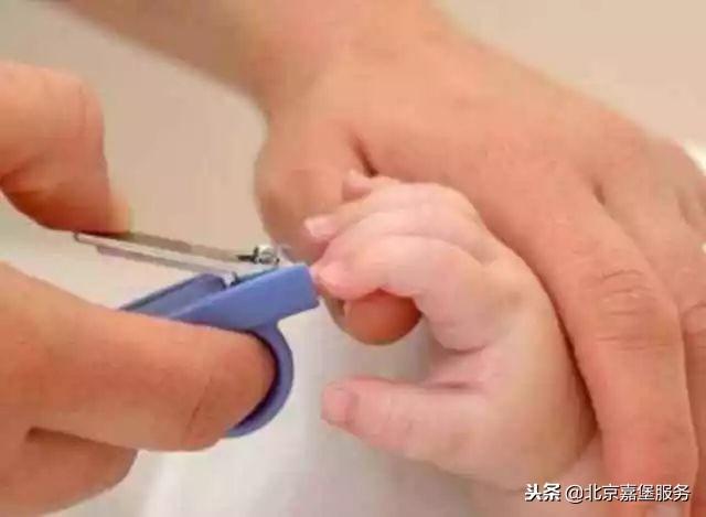 需要给六个月的宝宝修剪指甲吗（12个月宝宝怎么养）