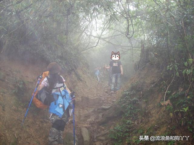 都江堰青城山自驾攻略（成都出发爬山露营）