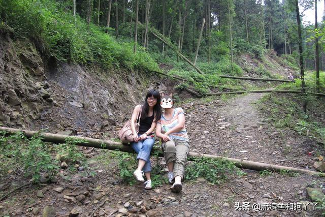 都江堰青城山自驾攻略（成都出发爬山露营）