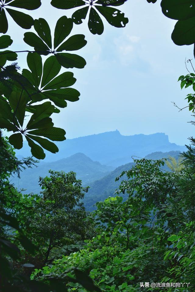 都江堰青城山自驾攻略（成都出发爬山露营）