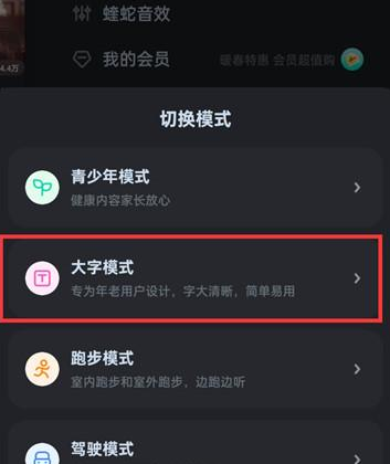 酷狗音乐怎么切换大字模式 酷狗音乐大字模式开启方法