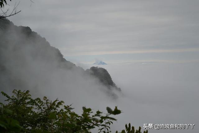 都江堰青城山自驾攻略（成都出发爬山露营）