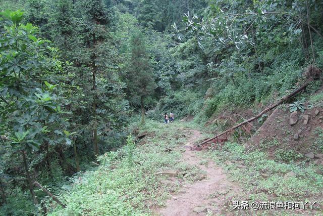 都江堰青城山自驾攻略（成都出发爬山露营）