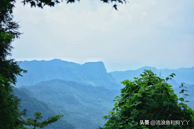 都江堰青城山自驾攻略（成都出发爬山露营）