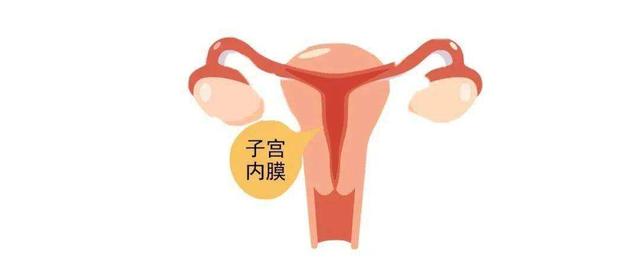 子宫内膜厚度是多少才可以怀孕（子宫内膜厚度多少才能怀孕）