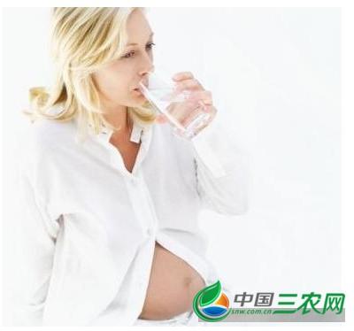 孕妇喝大麦茶的好处和禁忌（孕妇也可以喝大麦茶哦）