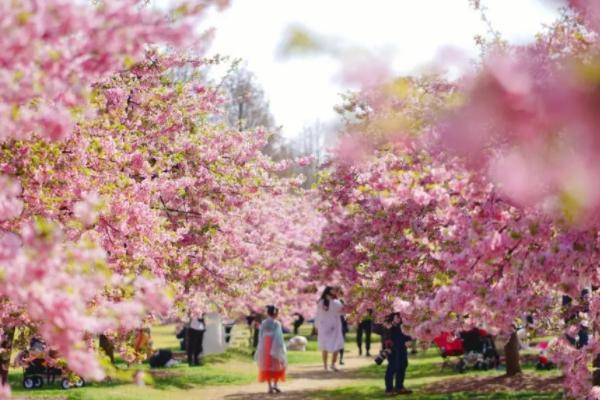 2023湖南省植物园春季花展时间