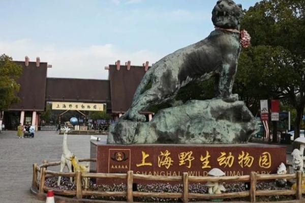 2023上海野生动物园门票（价格+优惠+注意事项）（门票价格攻略）