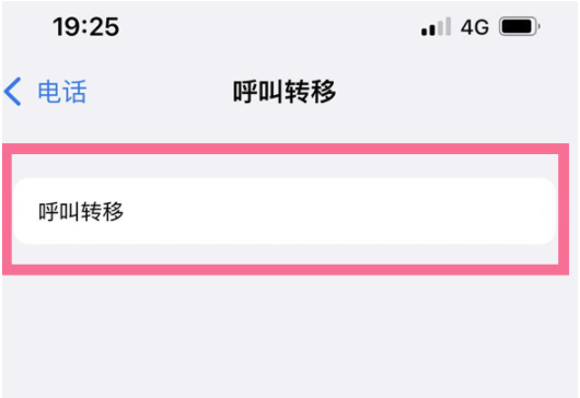 iPhone13呼叫转移怎样设置?iPhone13添加呼叫转移号码流程介绍截图