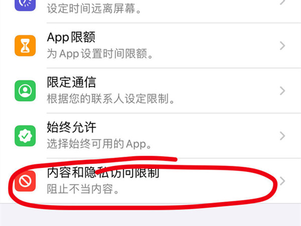 iphone手机访问限制功能在哪里?iphone手机设置访问限制方法介绍截图