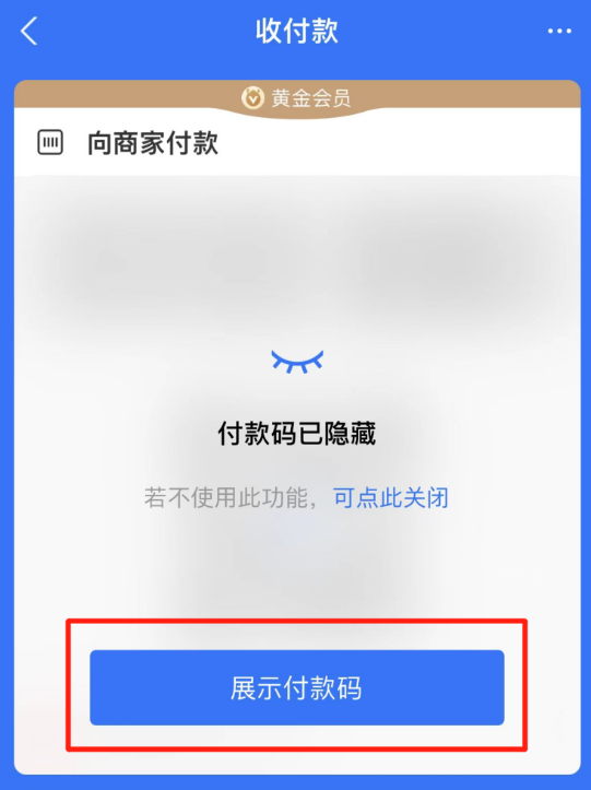 支付宝如何自动隐藏付款码 支付宝开启付款码隐私保护功能教程一览