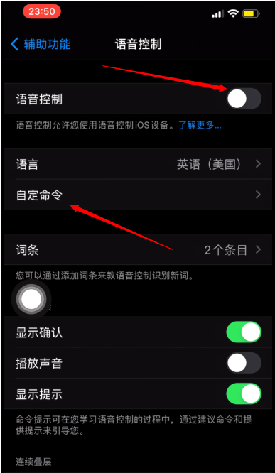 iPhone手机怎样设置语音拍照?iPhone手机语音拍照教程截图