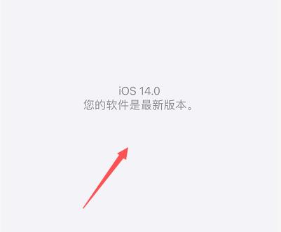 苹果怎么更新ios14?苹果更新ios14的简单方法截图