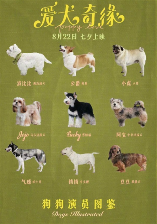 宠天团出道！《爱犬奇缘》曝狗狗演员图鉴海报