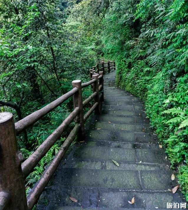 峨眉山旅游攻略详细版 峨眉山徒步爬山路线图